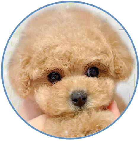 profile-icon